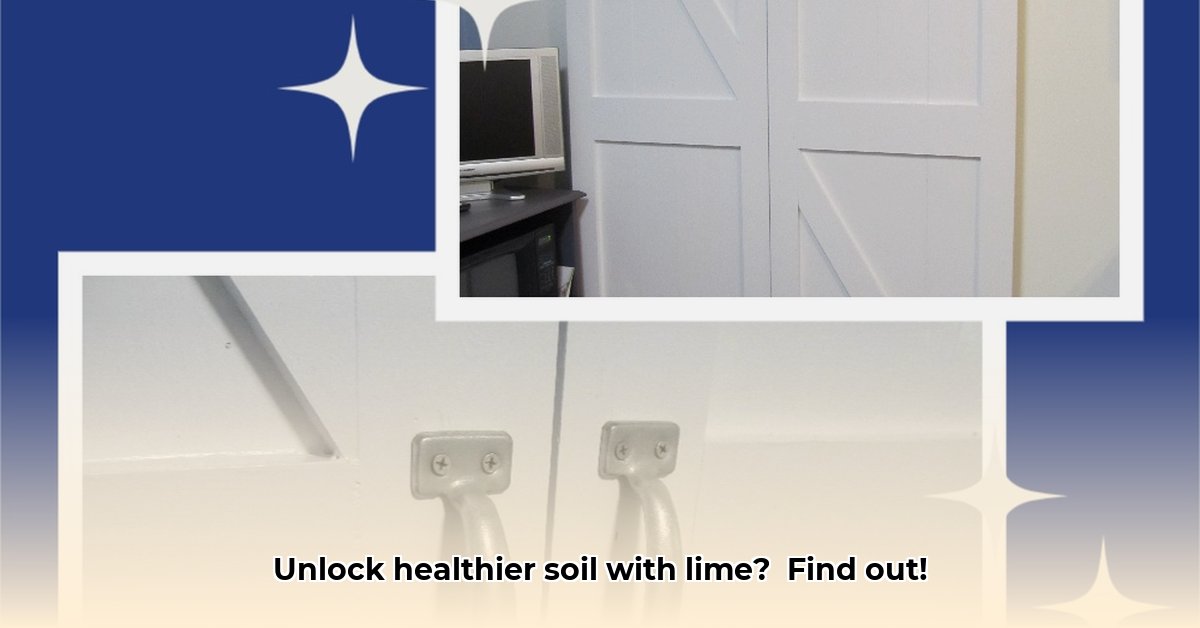 tractor-supply-barn-lime